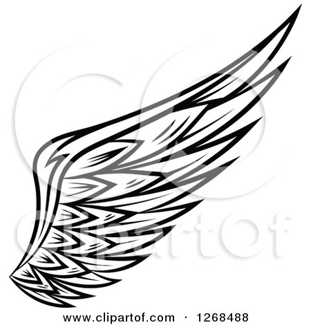 Clipart of a Black and White Feathered Wing 7 - Royalty Free Vector Illustration by Vector Tradition SM