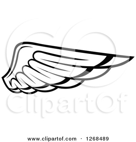Clipart of a Black and White Feathered Wing 8 - Royalty Free Vector Illustration by Vector Tradition SM