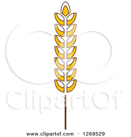 Clipart of a Wheat Stalk - Royalty Free Vector Illustration by Vector Tradition SM