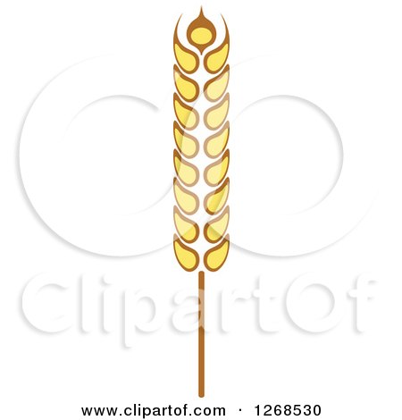 Clipart of a Wheat Stalk 10 - Royalty Free Vector Illustration by Vector Tradition SM