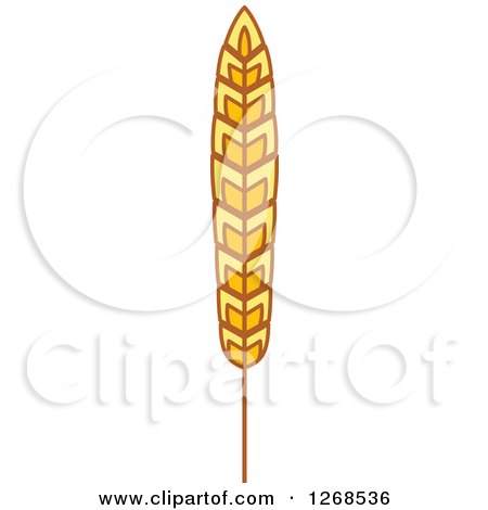 Clipart of a Wheat Stalk 8 - Royalty Free Vector Illustration by Vector Tradition SM