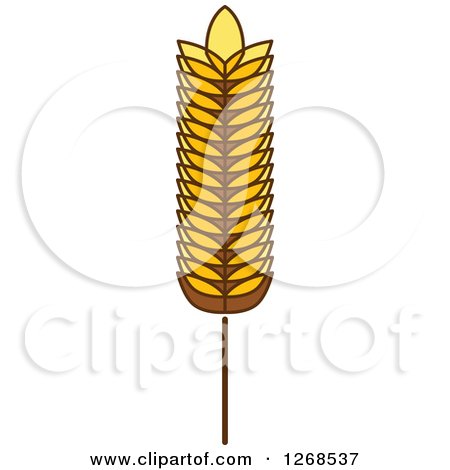Clipart of a Wheat Stalk 9 - Royalty Free Vector Illustration by Vector Tradition SM