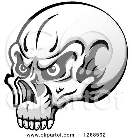 Clipart of a Grayscale Human Skull with Eyes - Royalty Free Vector Illustration by Vector Tradition SM