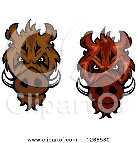 Clipart of Vicious Razorback Boar Mascot Heads - Royalty Free Vector Illustration by Vector Tradition SM