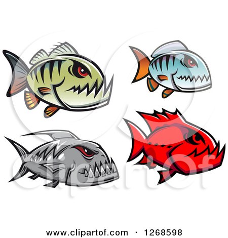 Clipart of Red Eyed Piranha Fish - Royalty Free Vector Illustration by Vector Tradition SM