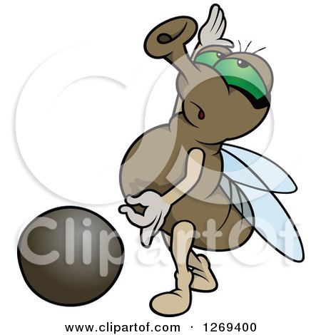 Clipart of a Cartoon Green Eyed Posing House Fly and Pebble - Royalty Free Vector Illustration by dero