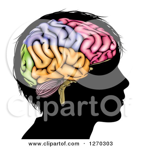 Clipart of a Silhouetted Boy's Head with a Colorful Brain - Royalty Free Vector Illustration by AtStockIllustration