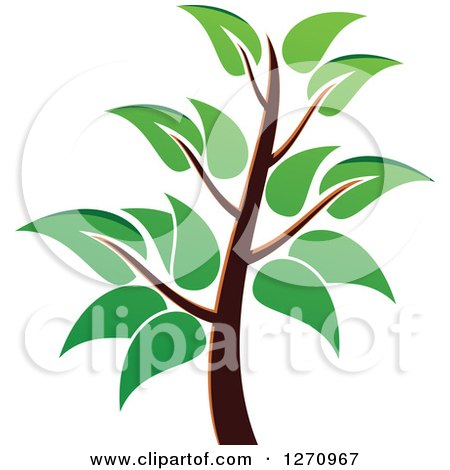 Clipart of a Green and Brown Tree 6 - Royalty Free Vector Illustration by Vector Tradition SM