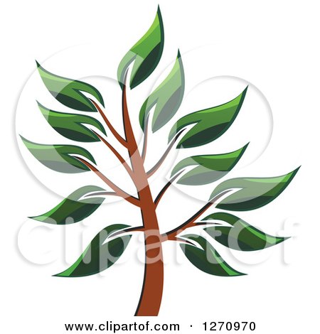 Clipart of a Green and Brown Tree 3 - Royalty Free Vector Illustration by Vector Tradition SM