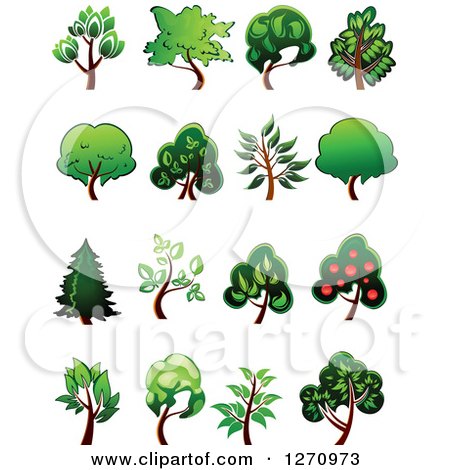 Clipart of Green and Brown Trees - Royalty Free Vector Illustration by Vector Tradition SM