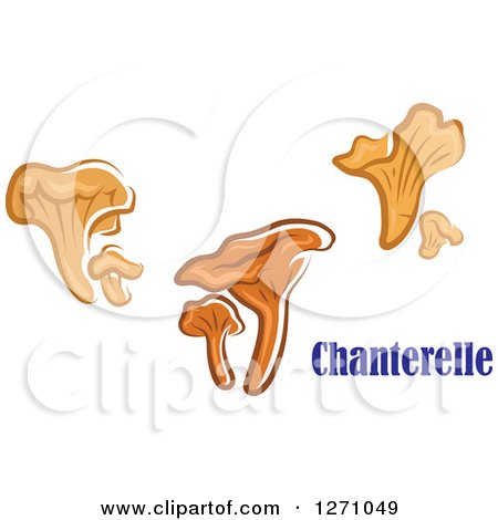 Clipart of Brown Chanterelle Mushrooms and Text - Royalty Free Vector Illustration by Vector Tradition SM