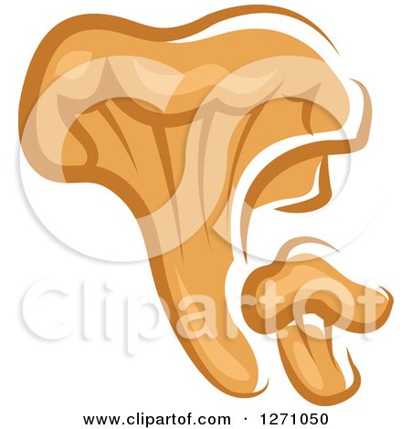 Clipart of a Brown Chanterelle Mushrooms - Royalty Free Vector Illustration by Vector Tradition SM