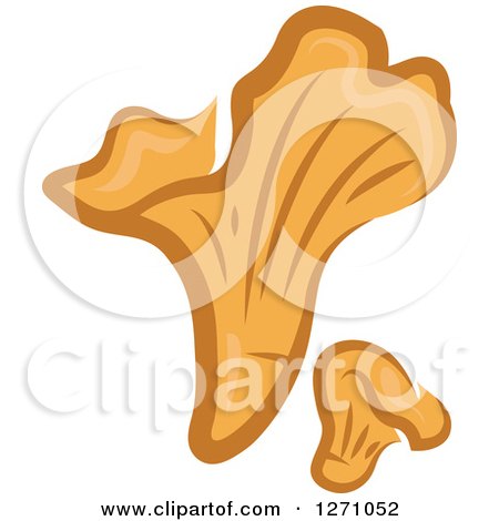 Clipart of a Brown Chanterelle Mushrooms 3 - Royalty Free Vector Illustration by Vector Tradition SM