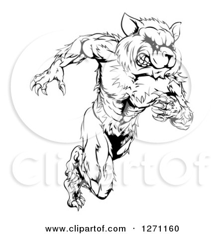 Clipart of a Black and White Muscular Raccoon Man Mascot Running