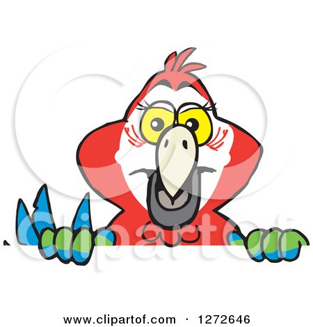 Clipart of a Happy Scarlet Macaw Parrot Peeking over a Sign - Royalty Free Vector Illustration by Dennis Holmes Designs