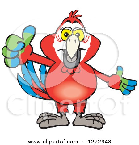 Clipart of a Happy Scarlet Macaw Parrot Giving a Thumb up - Royalty Free Vector Illustration by Dennis Holmes Designs