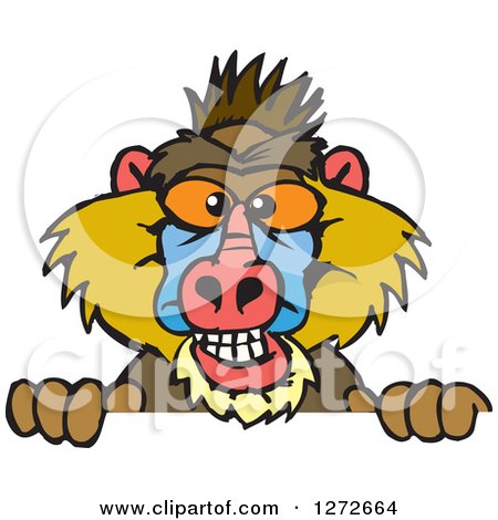Clipart of a Happy Baboon Peeking over a Sign - Royalty Free Vector Illustration by Dennis Holmes Designs