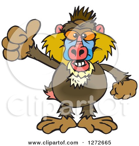 Clipart of a Happy Baboon Giving a Thumb up - Royalty Free Vector Illustration by Dennis Holmes Designs