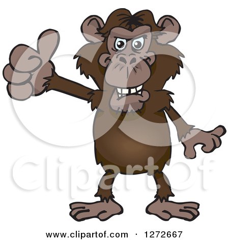 Clipart of a Chimpanzee Giving a Thumb up - Royalty Free Vector Illustration by Dennis Holmes Designs
