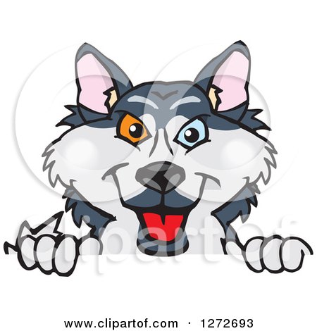 Clipart of a Happy Husky Dog Peeking over a Sign - Royalty Free Vector Illustration by Dennis Holmes Designs