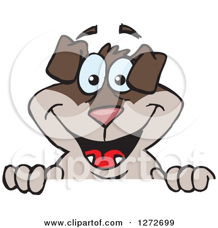 Clipart of a Happy Two Toned Brown Dog Peeking over a Sign - Royalty Free Vector Illustration by Dennis Holmes Designs