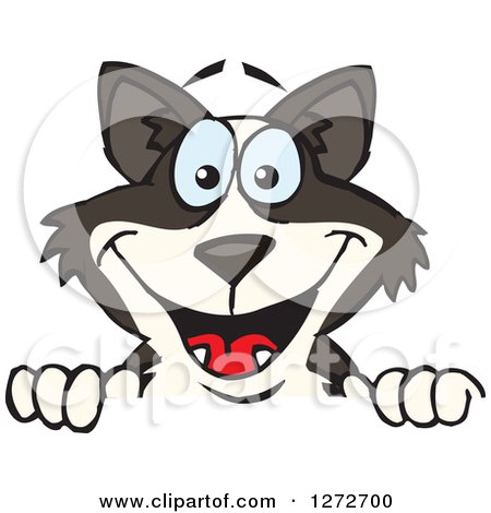 Clipart of a Happy Border Collie Dog Peeking over a Sign - Royalty Free Vector Illustration by Dennis Holmes Designs