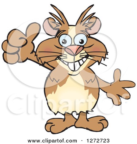 Clipart of a Happy Guinea Pig Presenting and Giving a Thumb up - Royalty Free Vector Illustration by Dennis Holmes Designs