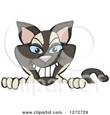 Clipart of a Happy Siamese Cat Peeking over a Sign - Royalty Free Vector Illustration by Dennis Holmes Designs