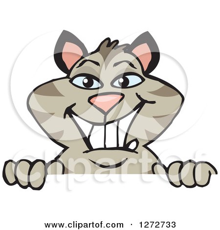 Clipart of a Happy Striped Tabby Cat Peeking over a Sign - Royalty Free Vector Illustration by Dennis Holmes Designs