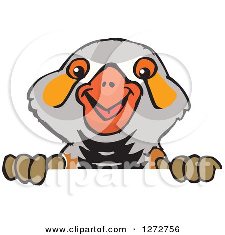 Clipart of a Happy Zebra Finch Bird Peeking over a Sign - Royalty Free Vector Illustration by Dennis Holmes Designs