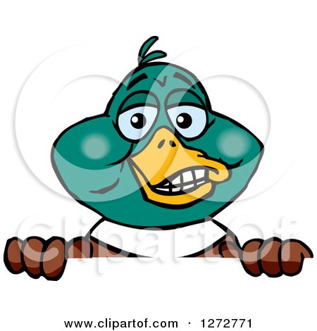 Clipart of a Happy Mallard Drake Duck Peeking over a Sign - Royalty Free Vector Illustration by Dennis Holmes Designs