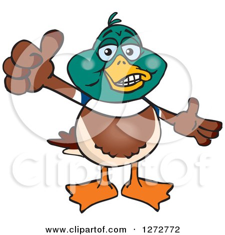 Clipart of a Happy Mallard Drake Duck Giving a Thumb up - Royalty Free Vector Illustration by Dennis Holmes Designs