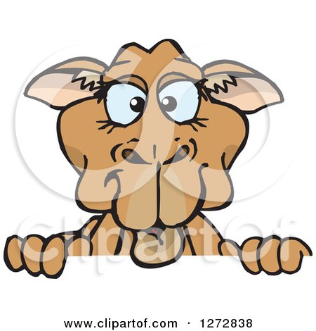 Clipart of a Blue Eyed Camel Peeking over a Sign - Royalty Free Vector Illustration by Dennis Holmes Designs