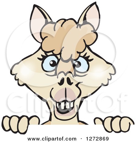 Clipart of a Blue Eyed Beige Alpaca over a Sign - Royalty Free Vector Illustration by Dennis Holmes Designs