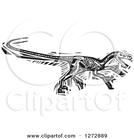 Black and White Woodcut Velociraptor Skeleton Posters, Art Prints