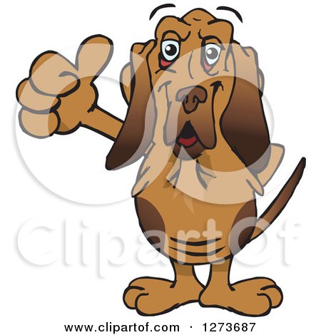 Clipart of a Happy Blood Hound Dog Giving a Thumb up - Royalty Free Vector Illustration by Dennis Holmes Designs