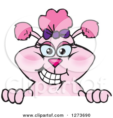 Clipart of a Happy Pink Poodle Dog Peeking over a Sign - Royalty Free Vector Illustration by Dennis Holmes Designs