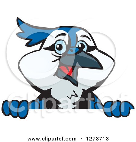 Clipart of a Happy Blue Jay Bird Peeking over a Sign - Royalty Free Vector Illustration by Dennis Holmes Designs