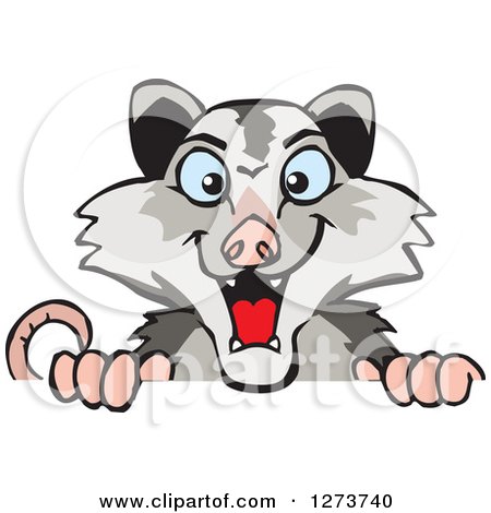 Clipart of a Happy Opossum Peeking over a Sign - Royalty Free Vector Illustration by Dennis Holmes Designs