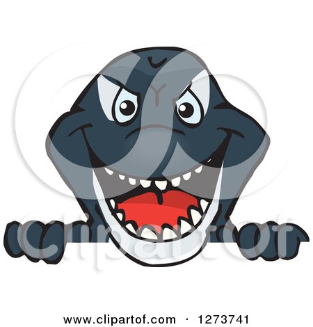 Clipart of a Killer Orca Whale Peeking over a Sign - Royalty Free Vector Illustration by Dennis Holmes Designs