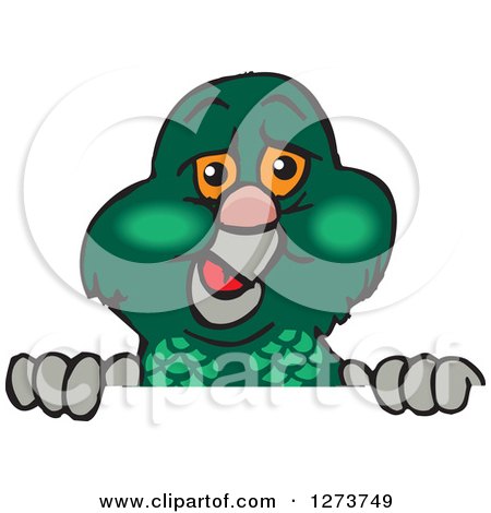 Clipart of a Happy Pigeon Bird Peeking over a Sign - Royalty Free Vector Illustration by Dennis Holmes Designs