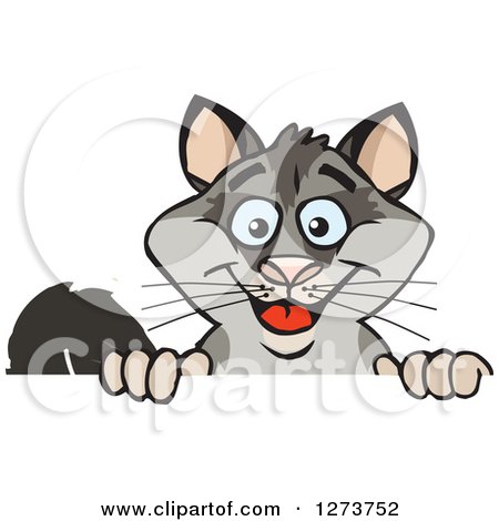 Clipart of a Happy Possum Peeking over a Sign - Royalty Free Vector Illustration by Dennis Holmes Designs
