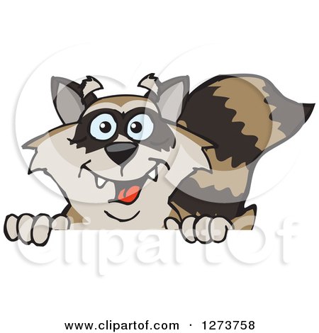 Clipart of a Happy Raccoon Peeking over a Sign - Royalty Free Vector Illustration by Dennis Holmes Designs
