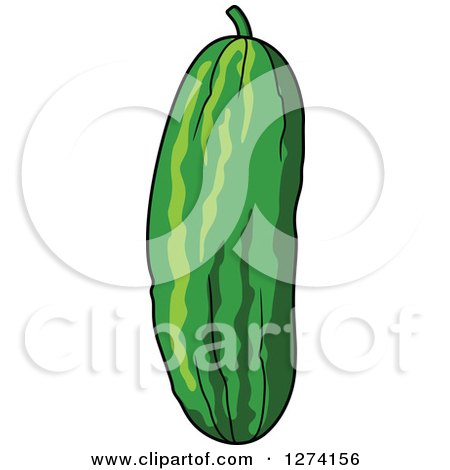 Clipart of a Green Cucumber - Royalty Free Vector Illustration by Vector Tradition SM