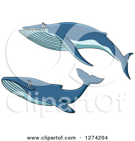 Clipart of Swimming Whales - Royalty Free Vector Illustration by Vector Tradition SM