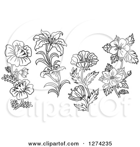 Clipart of Black and White Poppy Dogwood and Lily Designs - Royalty Free Vector Illustration by Vector Tradition SM