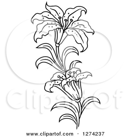 Clipart of a Black and White Lily Flower Stem - Royalty Free Vector Illustration by Vector Tradition SM
