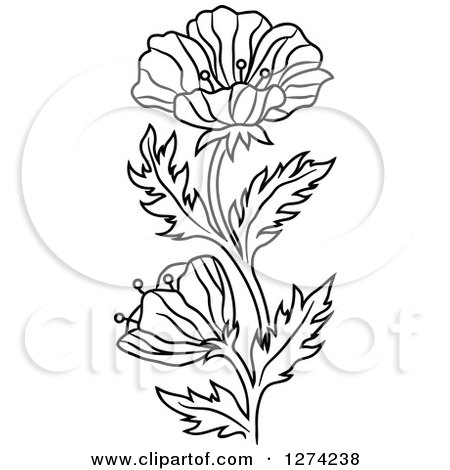Clipart of a Black and White Poppy Flower - Royalty Free Vector Illustration by Vector Tradition SM