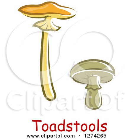 Clipart of Toadstool Mushrooms and Text - Royalty Free Vector Illustration by Vector Tradition SM