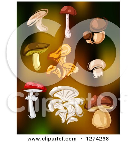 Clipart of Mushrooms over Gradient - Royalty Free Vector Illustration by Vector Tradition SM